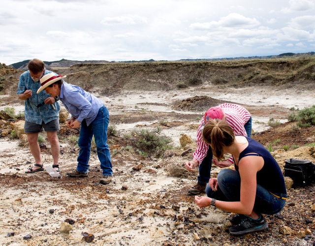 恐竜の化石発掘作業体験
